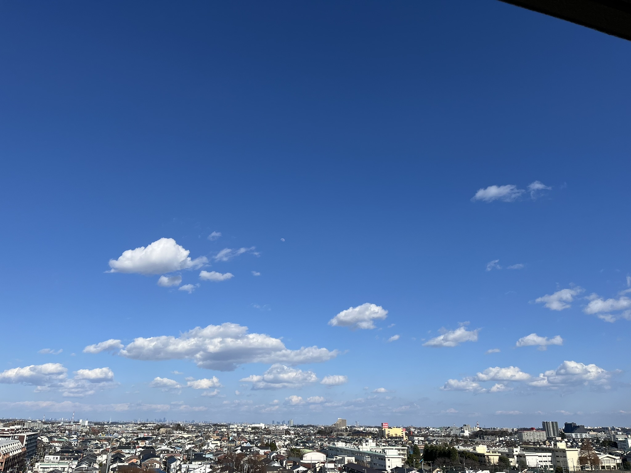 私の完全美容食【飲み方は？タンパク質量は？】｜お試し｜クーポン｜フレーバー｜